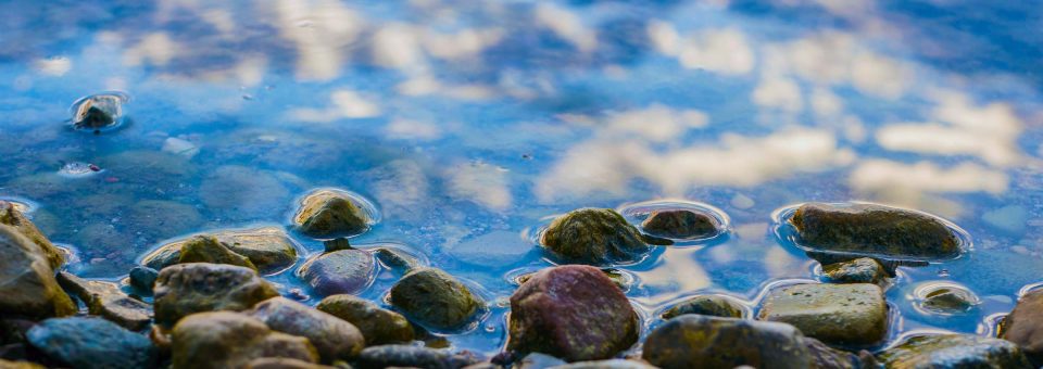 Photo by Aaron Burden on Unsplash