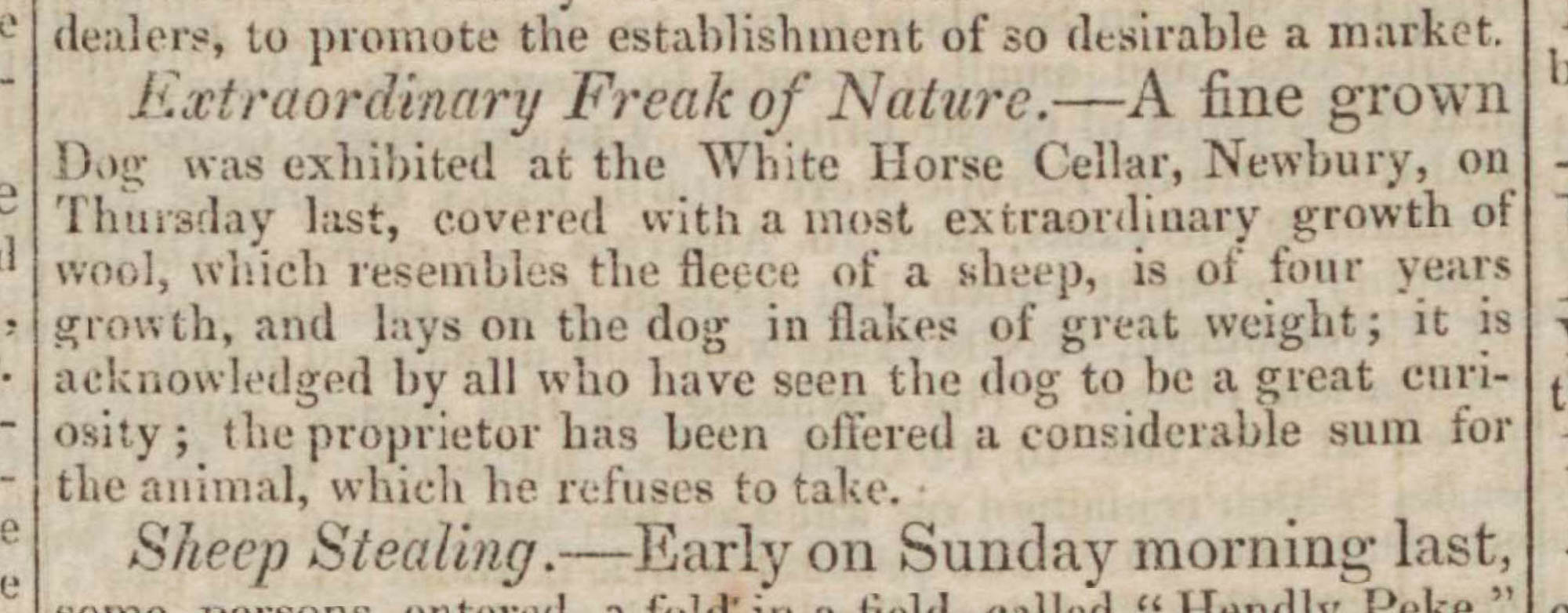 freak-of-nature